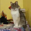 Отзыв от Маргарита Зубкова